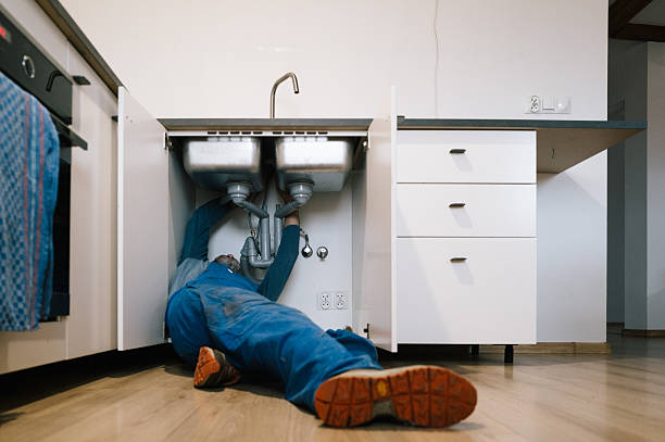 Professional Plumbing technician working in Webberville, MI